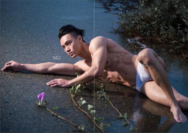 Virile-no.05-ebook--video