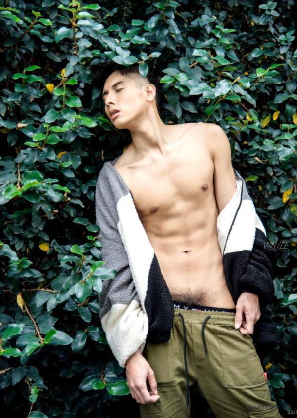 Virile-no.46-ebook--video