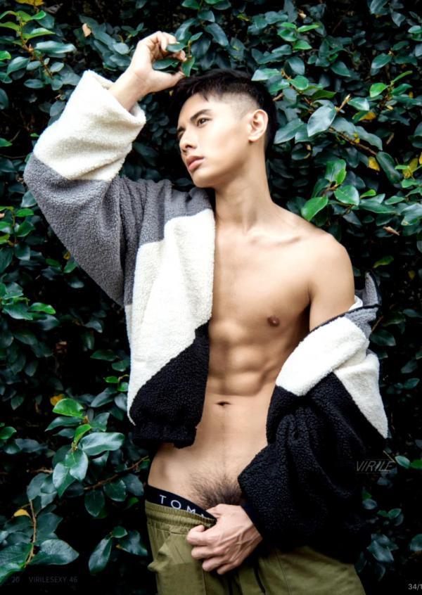 Virile-no.46-ebook--video