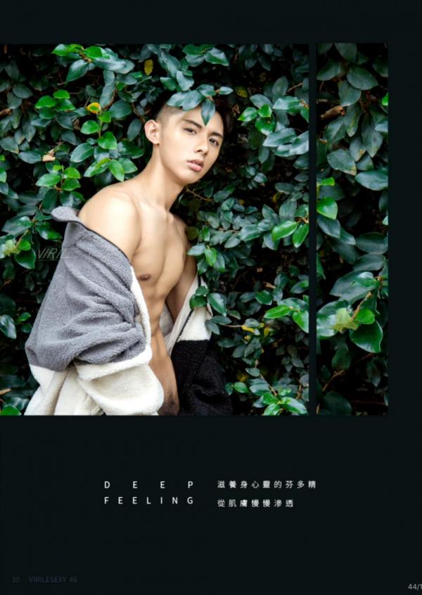 Virile-no.46-ebook--video