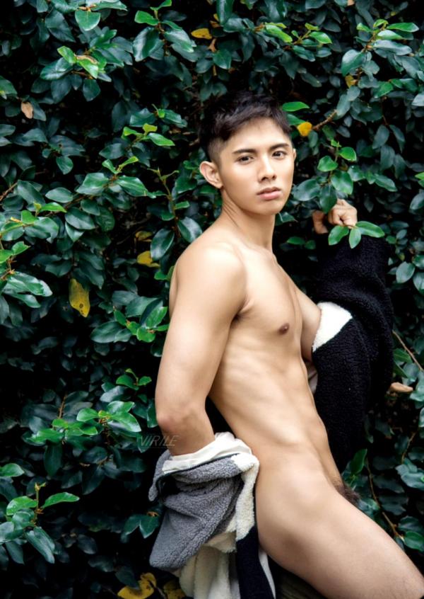 Virile-no.46-ebook--video