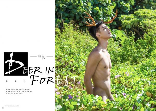 Whose-Man-No.55-EbookVideo