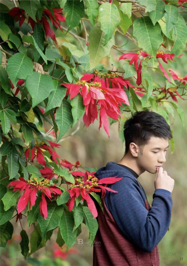 Whose-Man-No.81-EbookVideo