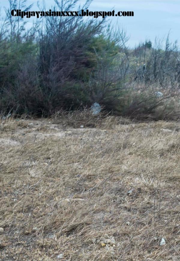 Whoseman-37-神秘的藝術工作者-REVISED-VERSION--吳敵