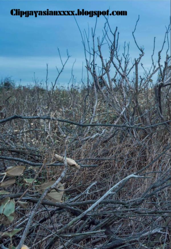 Whoseman-37-神秘的藝術工作者-REVISED-VERSION--吳敵