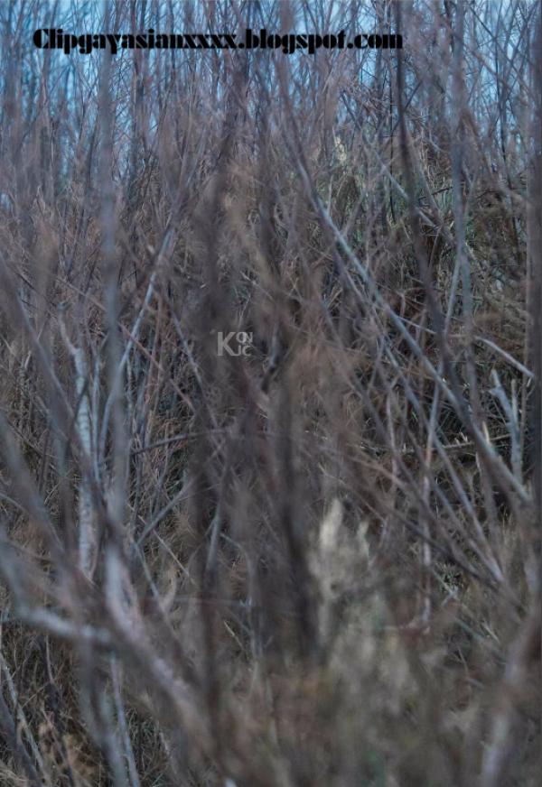 Whoseman-37-神秘的藝術工作者-REVISED-VERSION--吳敵