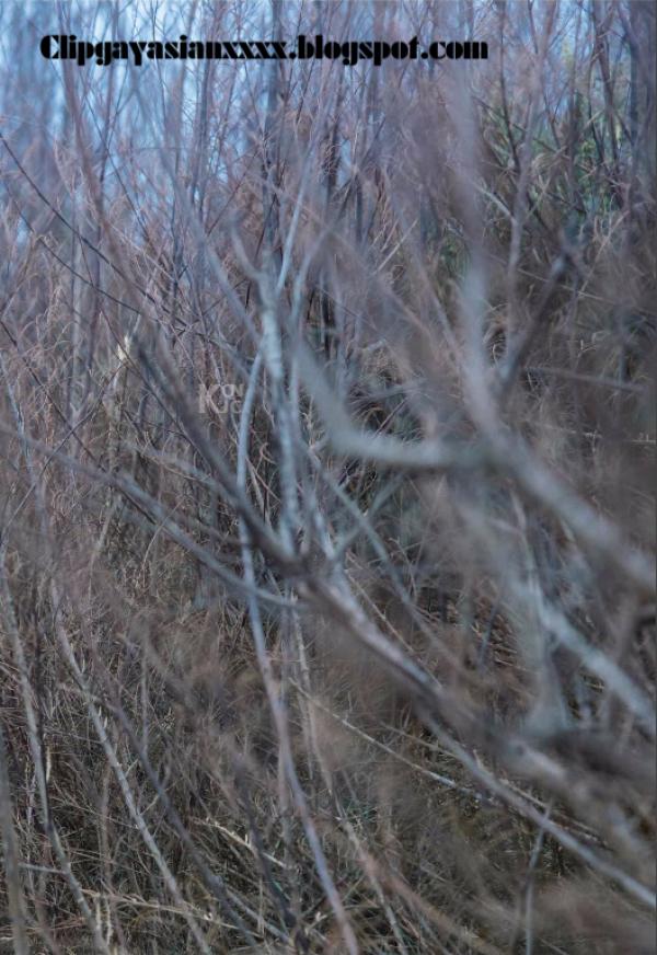 Whoseman-37-神秘的藝術工作者-REVISED-VERSION--吳敵