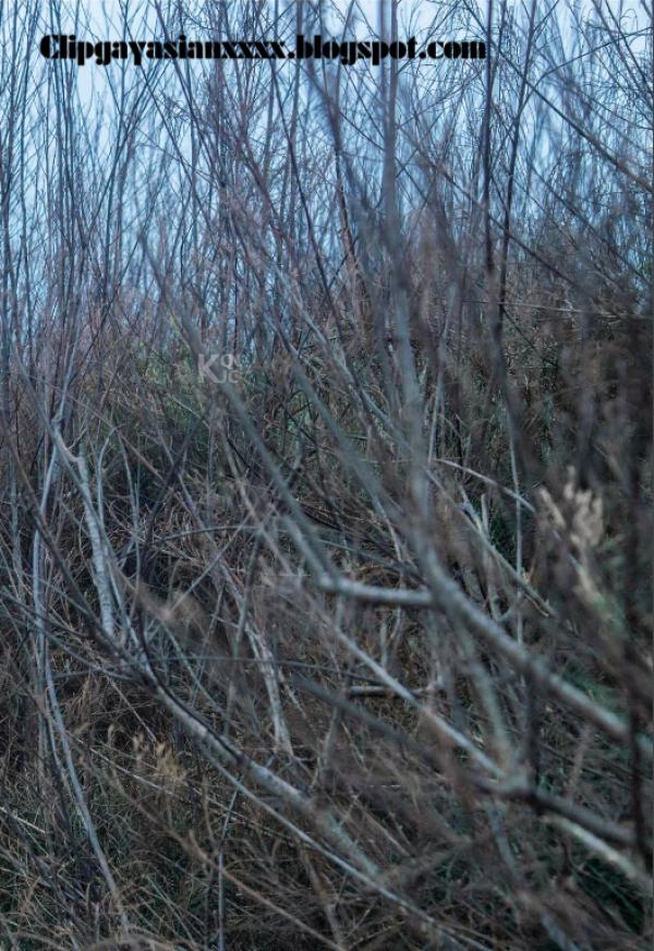 Whoseman-37-神秘的藝術工作者-REVISED-VERSION--吳敵