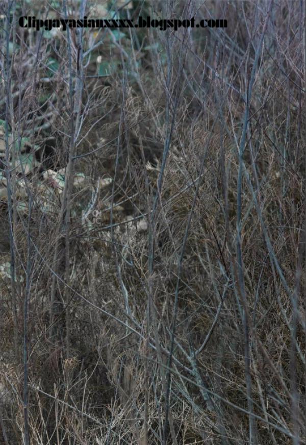 Whoseman-37-神秘的藝術工作者-REVISED-VERSION--吳敵