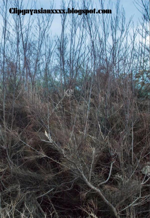 Whoseman-37-神秘的藝術工作者-REVISED-VERSION--吳敵