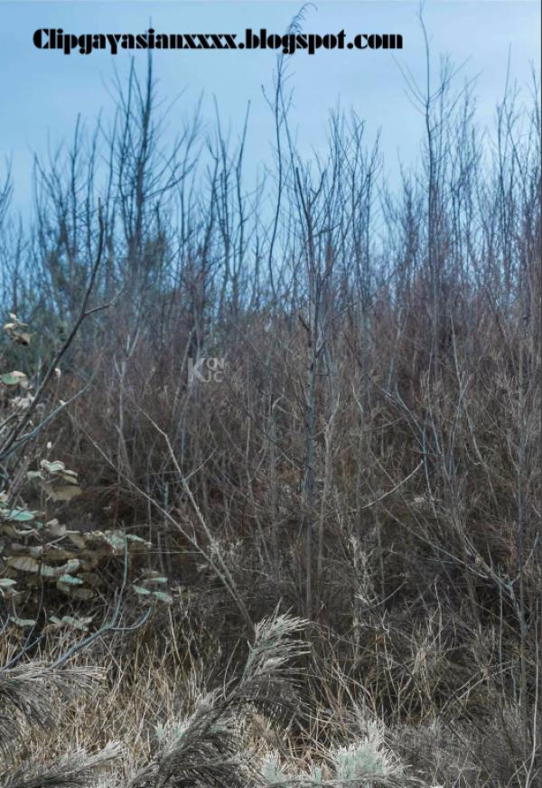 Whoseman-37-神秘的藝術工作者-REVISED-VERSION--吳敵