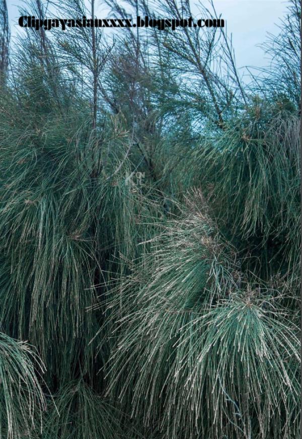 Whoseman-37-神秘的藝術工作者-REVISED-VERSION--吳敵