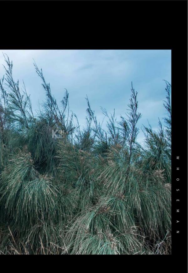 Whoseman-37-神秘的藝術工作者-REVISED-VERSION--吳敵