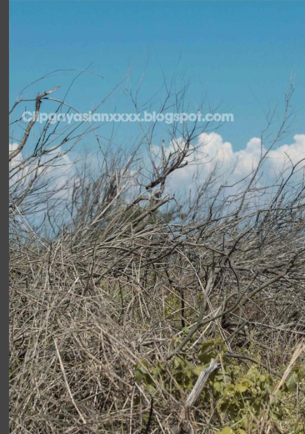 Whoseman-48-窺看優雅男神的碩大--拉斐爾