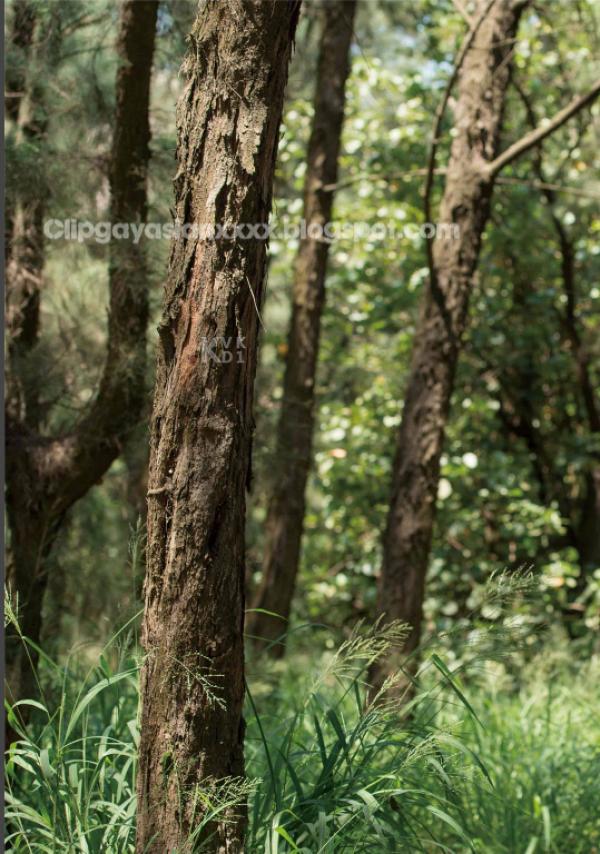 Whoseman-48-窺看優雅男神的碩大--拉斐爾