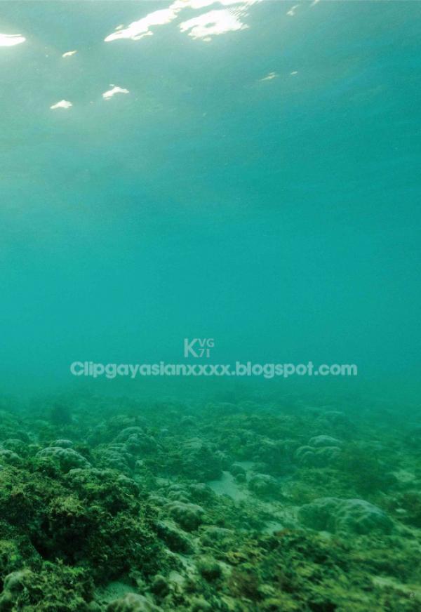 Whoseman-NO.49-人魚王子的愛情魔法--阿部--安東尼