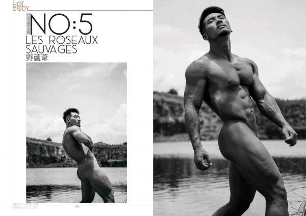 Wow-Issue-1--Part-1-2--EbookVideo-