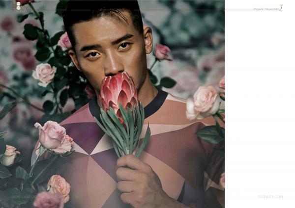 Wow-Issue-1--Part-1-2--EbookVideo-