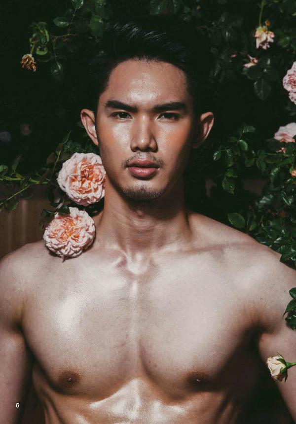 XPERIMENT--Rose-Garden