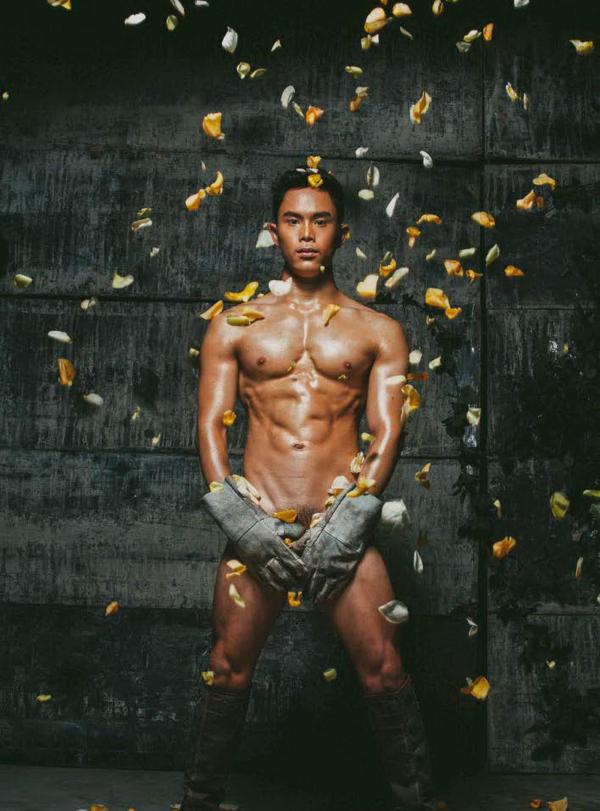 XPERIMENT--Rose-Garden