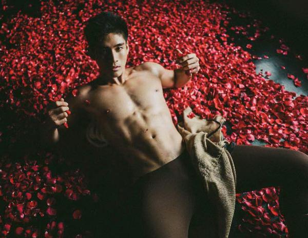 XPERIMENT--Rose-Garden