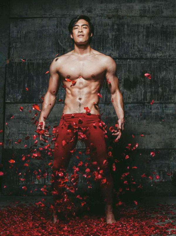 XPERIMENT--Rose-Garden