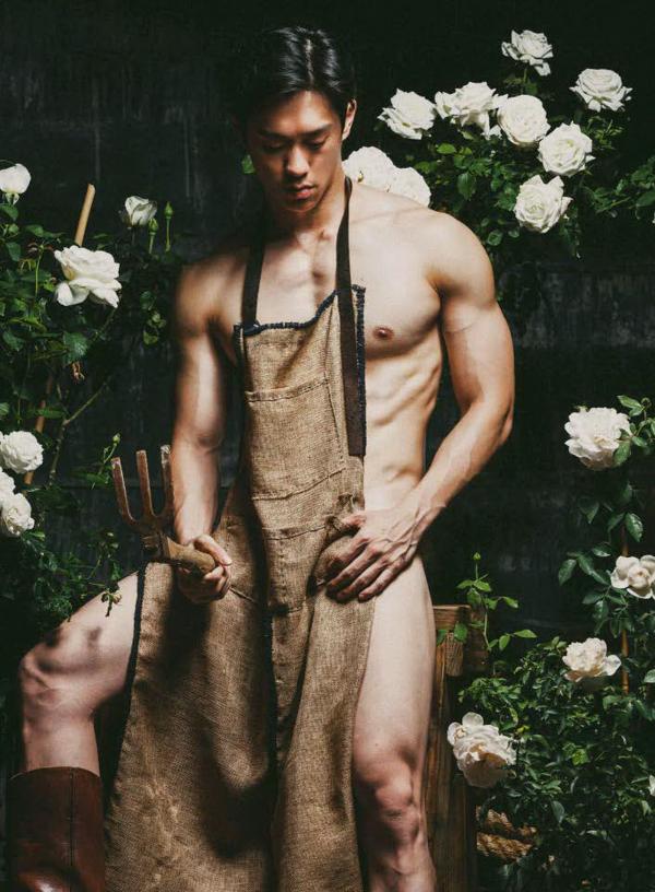 XPERIMENT--Rose-Garden