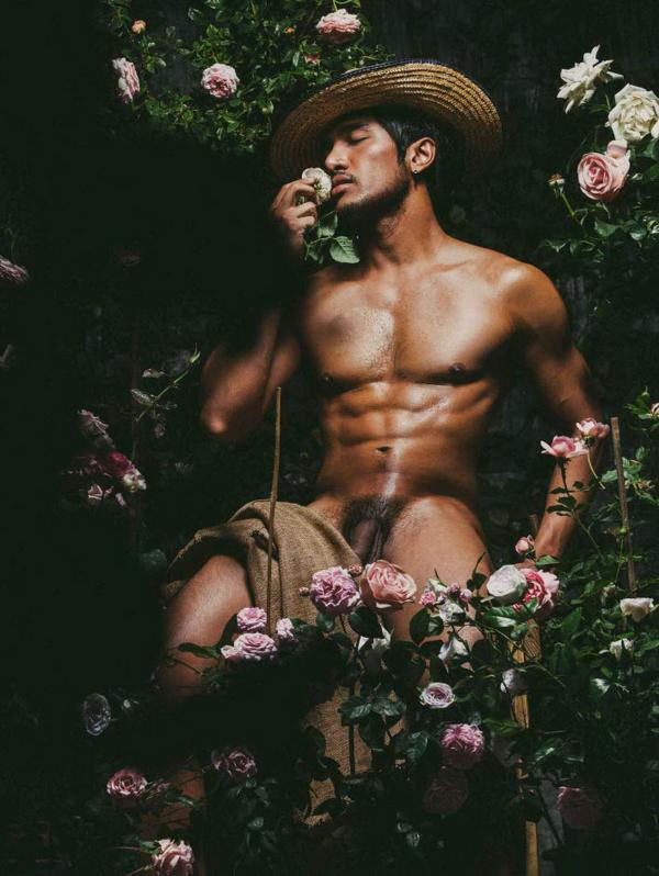 XPERIMENT--Rose-Garden