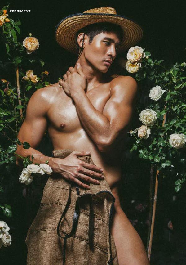 XPERIMENT--Rose-Garden