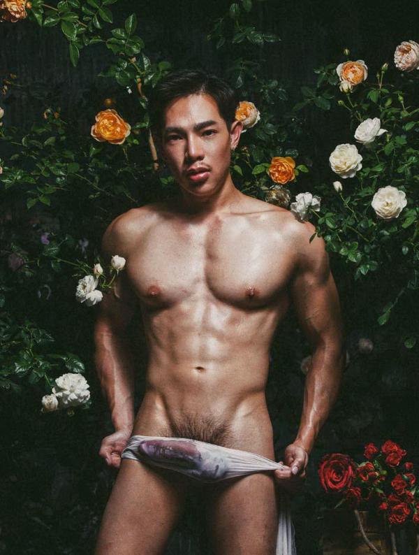 XPERIMENT--Rose-Garden