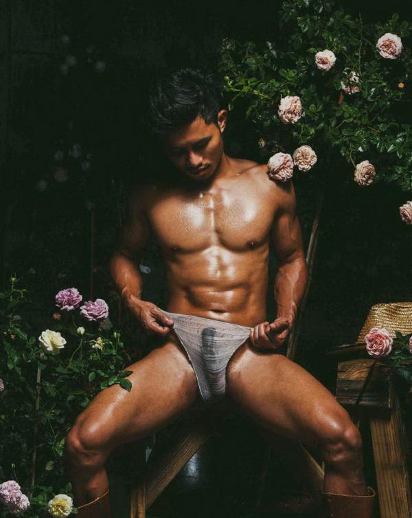 XPERIMENT--Rose-Garden