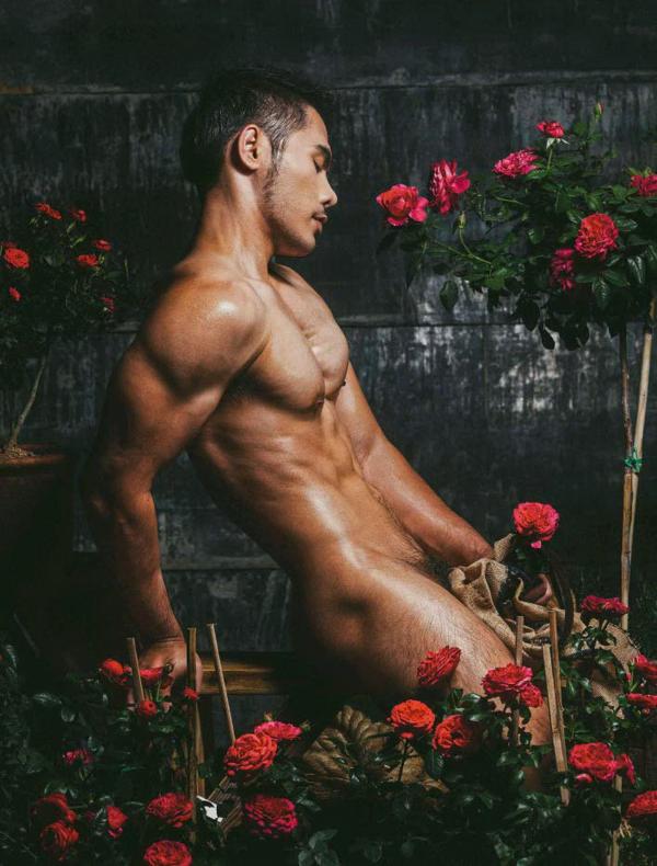 XPERIMENT--Rose-Garden