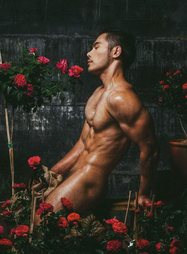 XPERIMENT--Rose-Garden