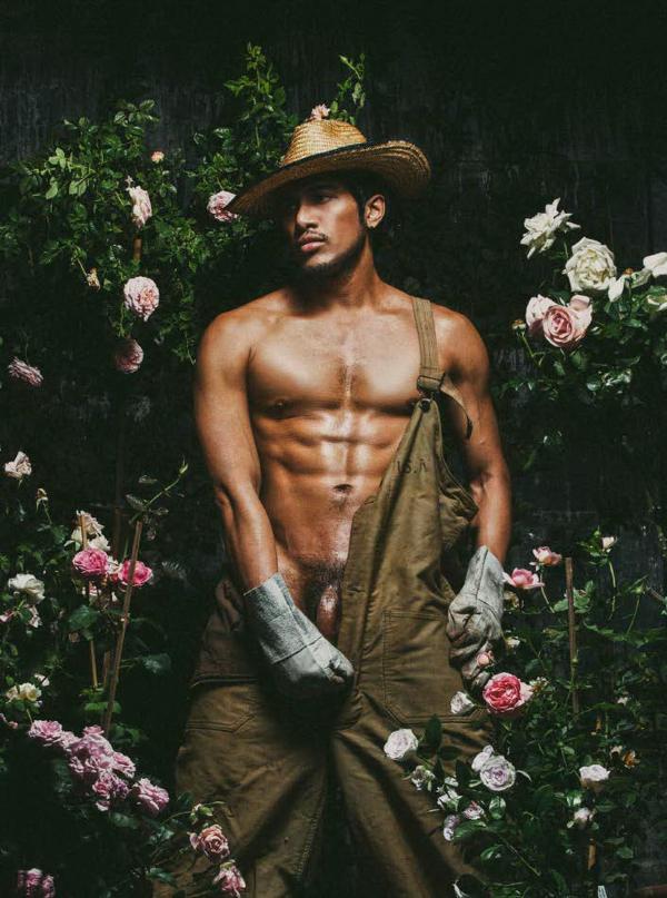 XPERIMENT--Rose-Garden