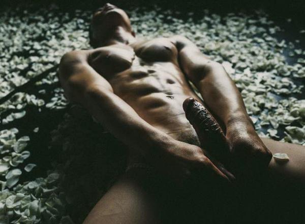 XPERIMENT--Rose-Garden