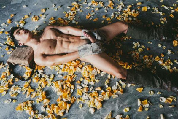 XPERIMENT--Rose-Garden