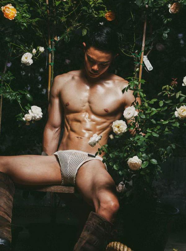 XPERIMENT--Rose-Garden