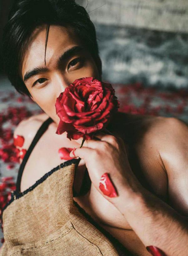 XPERIMENT--Rose-Garden