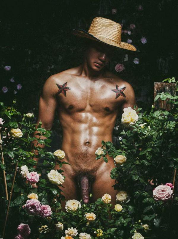 XPERIMENT--Rose-Garden