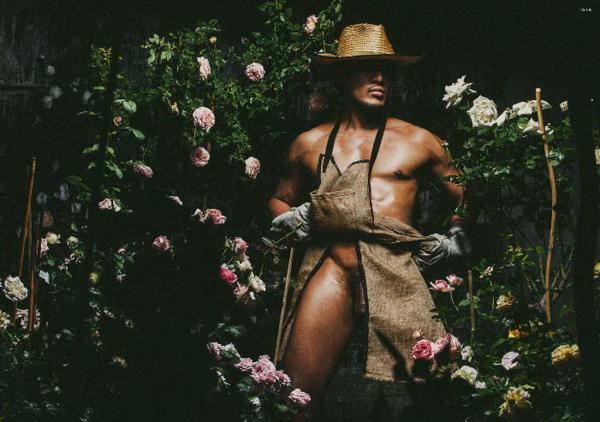 XPERIMENT--Rose-Garden