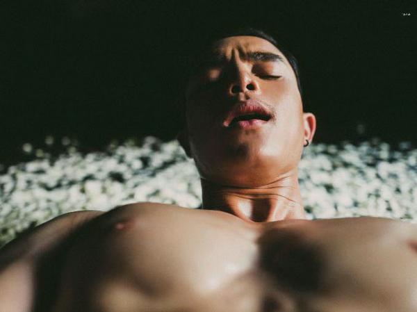 XPERIMENT--Rose-Garden