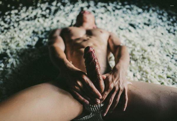 XPERIMENT--Rose-Garden