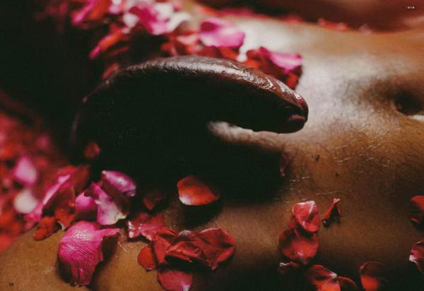 XPERIMENT--Rose-Garden