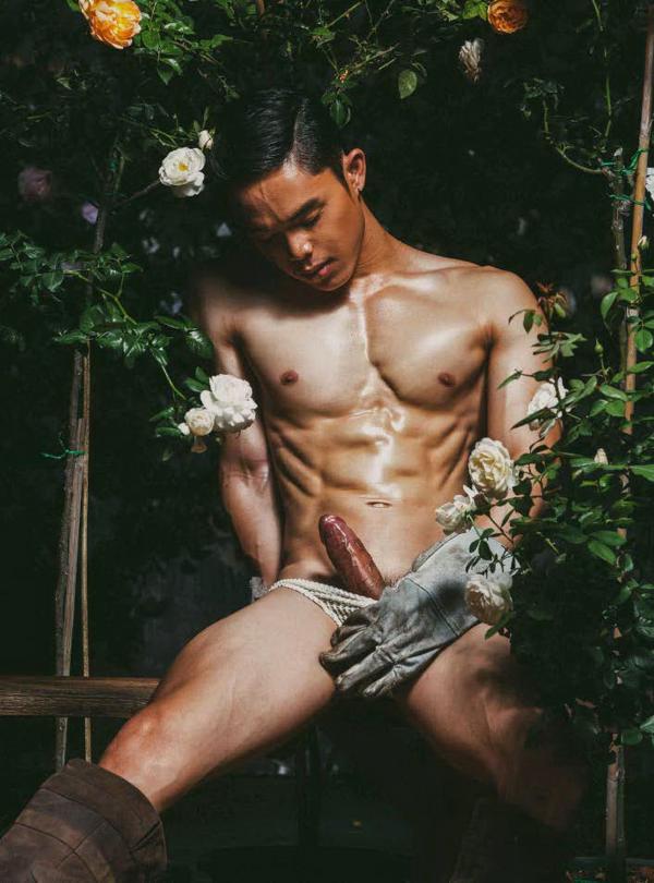 XPERIMENT--Rose-Garden