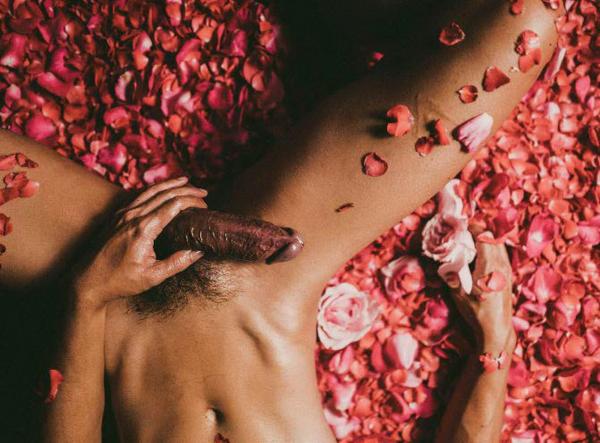 XPERIMENT--Rose-Garden