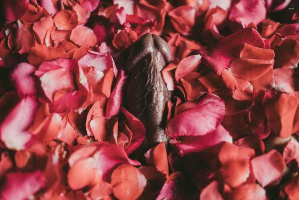 XPERIMENT--Rose-Garden