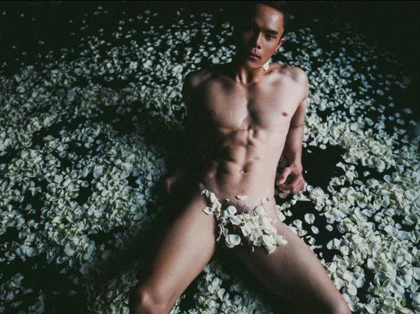 XPERIMENT--Rose-Garden