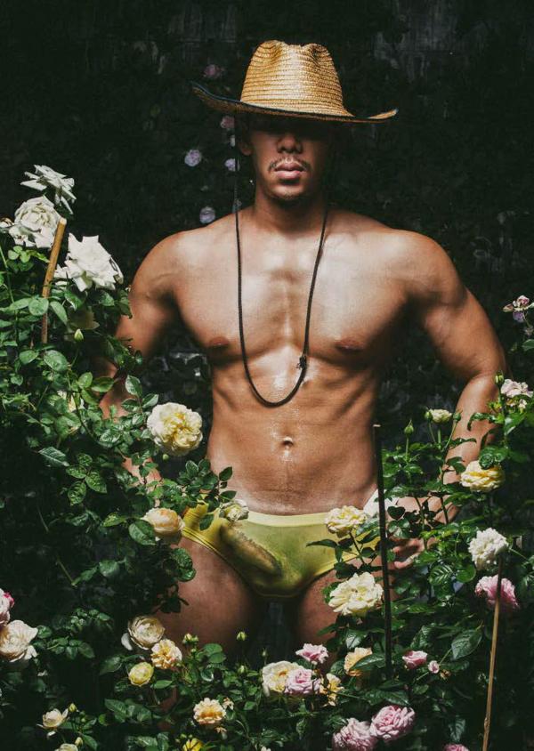 XPERIMENT--Rose-Garden