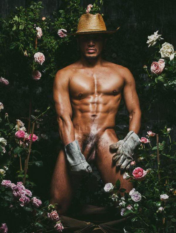 XPERIMENT--Rose-Garden