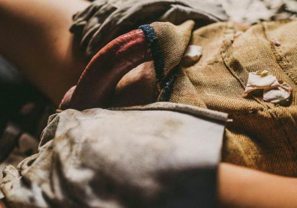 XPERIMENT--Rose-Garden